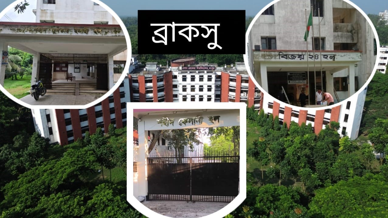 হল সংসদে অনাবাসিক শিক্ষার্থীদের ভোট, ক্ষোভ বেরোবি শিক্ষার্থীদের